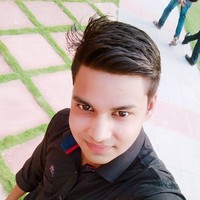 Vishal Shankhwar