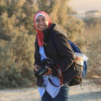 Lobna Tarek