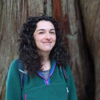 Eden Haber
