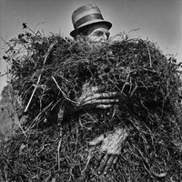 Raed Bawayah