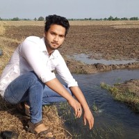Arish Gill