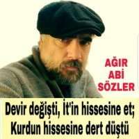Yılmaz Yalpa