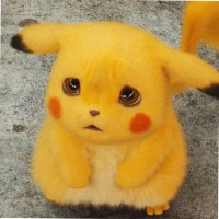 谭晓栋