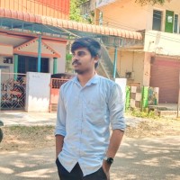 Velmurugan P