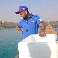 Rajinder Kumar