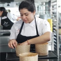 Fernanda Bolan Meza
