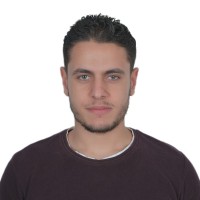 Amr Shendy
