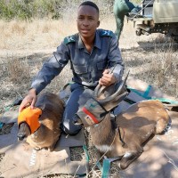 Kgopotso Vuyo Mbiza