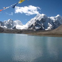 Wilderness Darjeeling