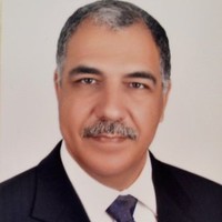Hatem Shahin