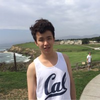 Dake Chen