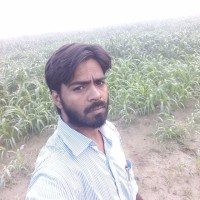 Mohd Hashim