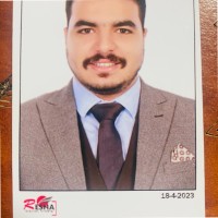 Bassem Gamal