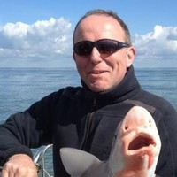 Nigel Bull