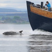 Scottishmarinesafari Michael Watt