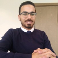 Ahmed Mohamed El Sayed