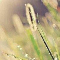 王凯凯