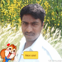 Naveen Kumar C N