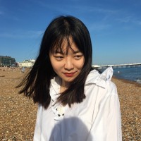 Kexin Zhu