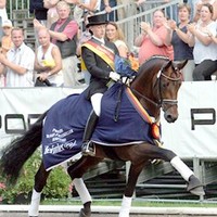 Karin van megen