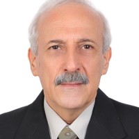 Mohammad Ghassem Nazifi