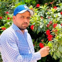 Muhammad Zaman