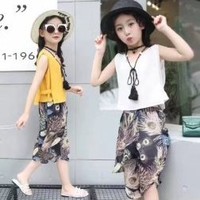 刘逸飞
