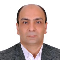 Wael Ismail