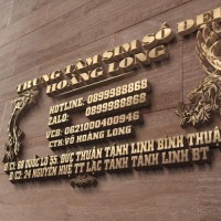Sim Mobi Hoàng Long Sim Mobi Hoàng Long