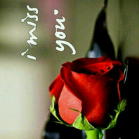 ashraf hasan