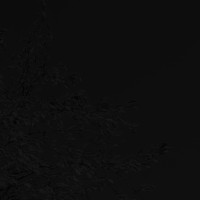 undefined undefined