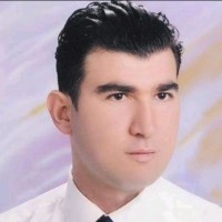 Barış İşleyen