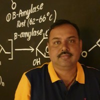 Praveen K.