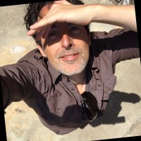 Damian Steel