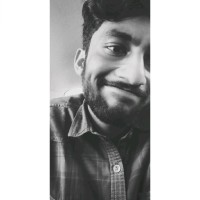 Syed Ali N