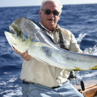 Bob Soar