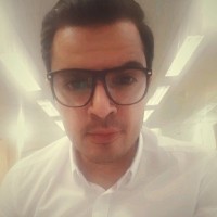 Fares M. Yousef