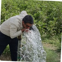 Nizar Noor Ali Momnani