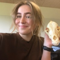 Kristine Lærke Madsen
