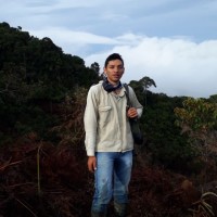 Wilmer Alexander Valero Rodríguez