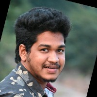 Bhargav Leli