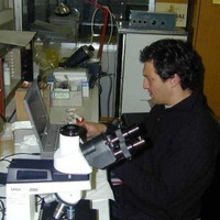 Claudio Cerutti