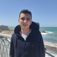 Mohamed Arous