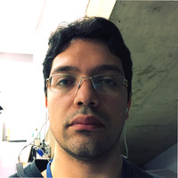 Denis Manoel Fernandes De Souza