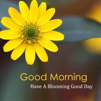 Arvind Kumar Arvind Kumar