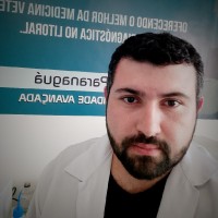 Luan Xavier Santos Mattos