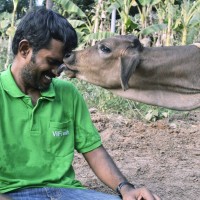 Selvakumar Varadharajan