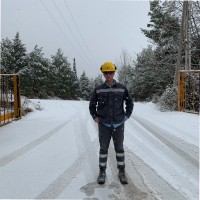 stamatis vasileiadis