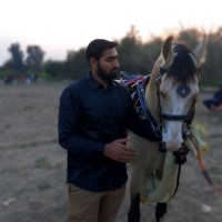 M. Rehan Amjad