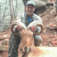 David Cline